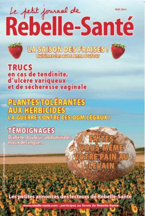 Le Petit Journal n° 165