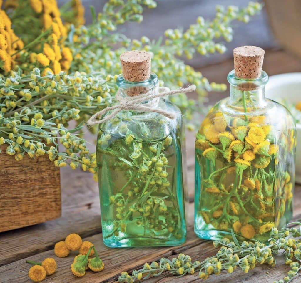 Deux bouteilles en verre avec bouchons en liège contenant des infusions de plantes médicinales jaunes, entourées de fleurs et de plantes aromatiques, sur une table en bois.