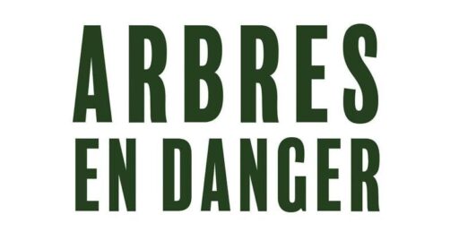 Arbres en danger enquête sur un carnage végétal.