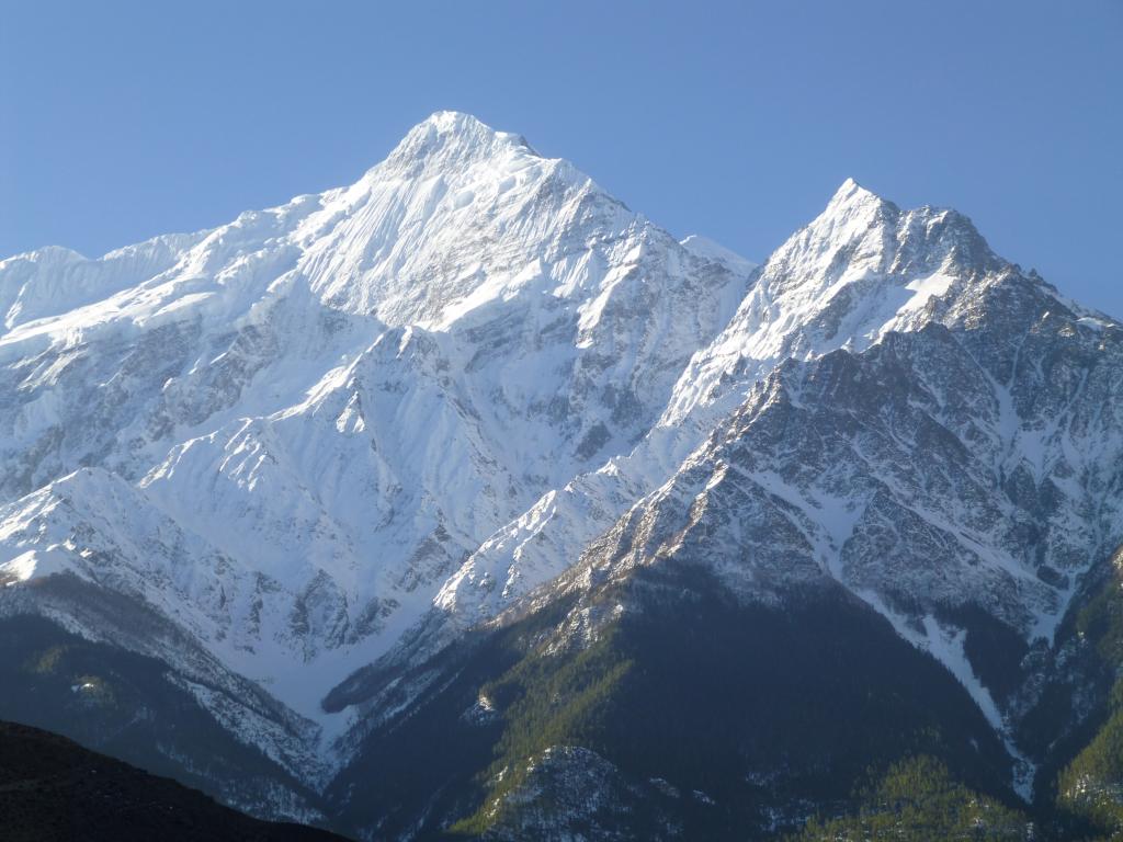 Photo de Profil de daubanes