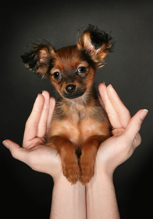 Photo de Profil de florinette8