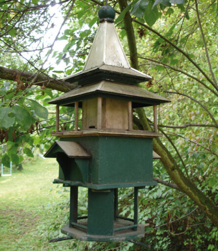 comment faire un jardin bio ?,bio-jardin,comment entretenir un jardin bio ?,au jardin bio,quelle terre pour jardin potager,jardin en biodynamie,jardin bio un moment pour soi,jardin bio produits,jardin bio petit bonheur,potager bio sans pesticide,jardin bio avis,jardin bio calme et sérénité,jardin bio etic,jardin biodiversité