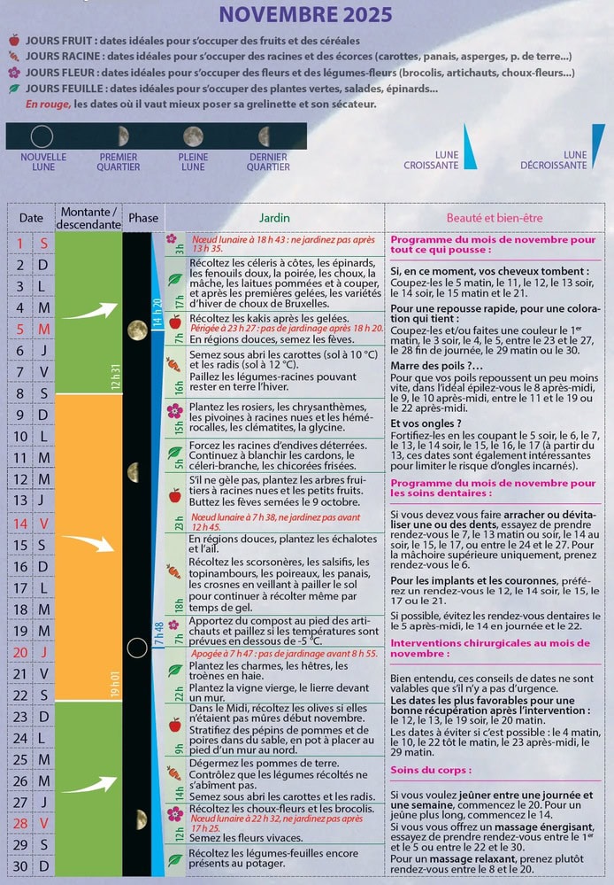 Nouvelles-lunes-rebelle-sante-novembre-2025.jpg.