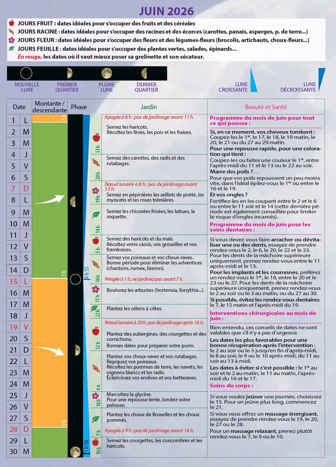 Programme de la santé et du bien-être pour juin 2026, avec conseils pour une alimentation équilibrée, saisonnalité des produits, et astuces pour une vie saine.
