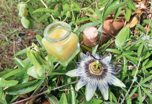 comment faire un jardin bio ?,bio-jardin,comment entretenir un jardin bio ?,au jardin bio,quelle terre pour jardin potager,jardin en biodynamie,jardin bio un moment pour soi,jardin bio produits,jardin bio petit bonheur,potager bio sans pesticide,jardin bio avis,jardin bio calme et sérénité,jardin bio etic,jardin biodiversité