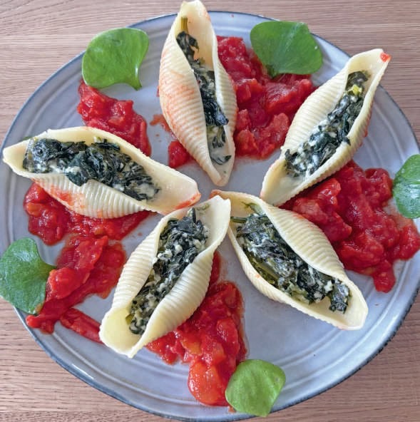Coquilles Saint-Jacques garnies d'épinards et de tomates, présentées sur une assiette élégante, parfaites pour une entrée raffinée.