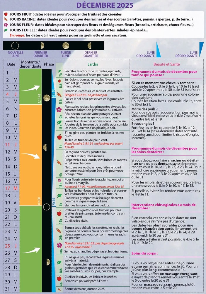 1. Conseils de jardinage pour décembre 2025, planifiez vos cultures en fonction des phases de la lune et des soins pour fruits, légumes, plantes d’intérieur et soins dentaires.