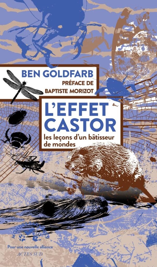 Couverture du livre "L'effet Castor" de Ben Goldfarb, illustrant des castors, insectes et nature, sur fond de dessins et textures, pour promouvoir la conservation des castors et leur impact écologique.