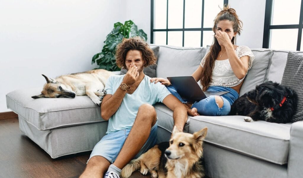 Balade avec chiens et femmes souriantes à la maison.