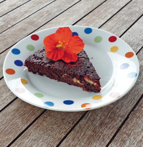 comment faire un jardin bio ?,bio-jardin,comment entretenir un jardin bio ?,au jardin bio,quelle terre pour jardin potager,jardin en biodynamie,jardin bio un moment pour soi,jardin bio produits,jardin bio petit bonheur,potager bio sans pesticide,jardin bio avis,jardin bio calme et sérénité,jardin bio etic,jardin biodiversité