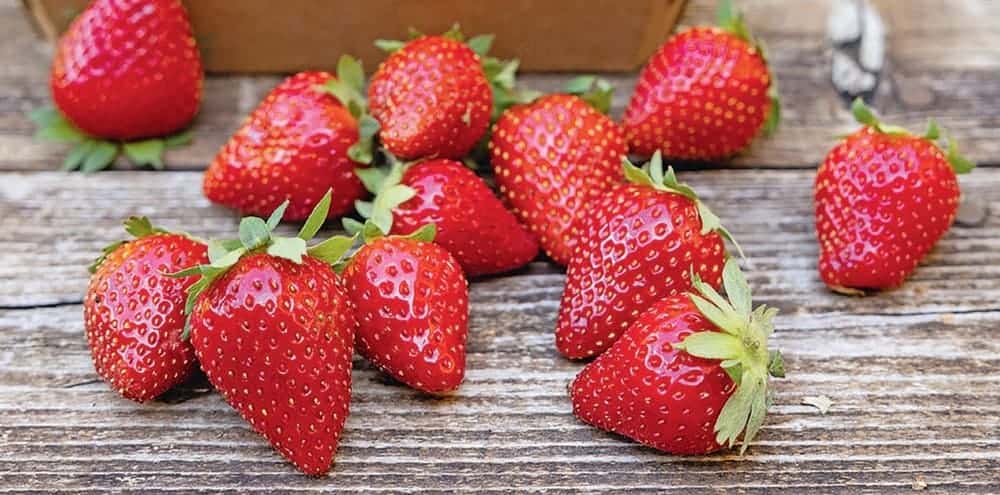 Mes cosmétiques anti-gaspi avec un reste de fraises