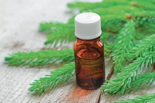 trucs et astuces de santé,trucs et astuces santé,trucs et astuces santé bien-être,trucs et astuces de grand-mère,trucs et astuces santé naturelle