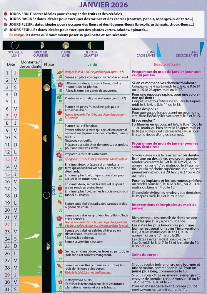 1. Alt text: Calendrier de soins et d'entretien du jardin et des plantes en janvier 2026, avec conseils pour la santé et l'esthétique dans le cadre d'une routine de jardinage pour un intérieur sain.
