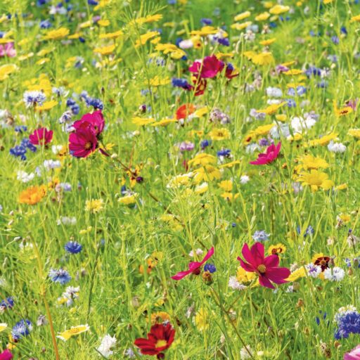 comment faire un jardin bio ?,bio-jardin,comment entretenir un jardin bio ?,au jardin bio,quelle terre pour jardin potager,jardin en biodynamie,jardin bio un moment pour soi,jardin bio produits,jardin bio petit bonheur,potager bio sans pesticide,jardin bio avis,jardin bio calme et sérénité,jardin bio etic,jardin biodiversité