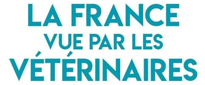 la france vue par les vetos