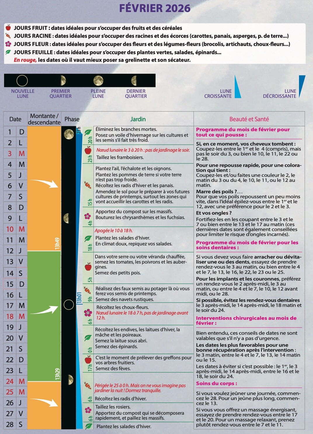 Eliminez les mauvaises herbes.