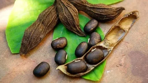 trucs et astuces de santé,trucs et astuces santé,trucs et astuces santé bien-être,trucs et astuces de grand-mère,trucs et astuces santé naturelle