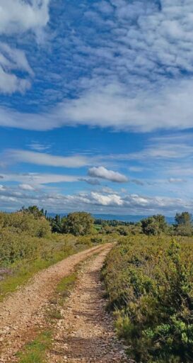 comment faire un jardin bio ?,bio-jardin,comment entretenir un jardin bio ?,au jardin bio,quelle terre pour jardin potager,jardin en biodynamie,jardin bio un moment pour soi,jardin bio produits,jardin bio petit bonheur,potager bio sans pesticide,jardin bio avis,jardin bio calme et sérénité,jardin bio etic,jardin biodiversité