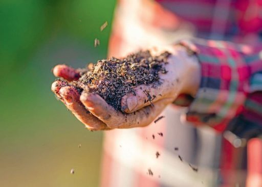 comment faire un jardin bio ?,bio-jardin,comment entretenir un jardin bio ?,au jardin bio,quelle terre pour jardin potager,jardin en biodynamie,jardin bio un moment pour soi,jardin bio produits,jardin bio petit bonheur,potager bio sans pesticide,jardin bio avis,jardin bio calme et sérénité,jardin bio etic,jardin biodiversité