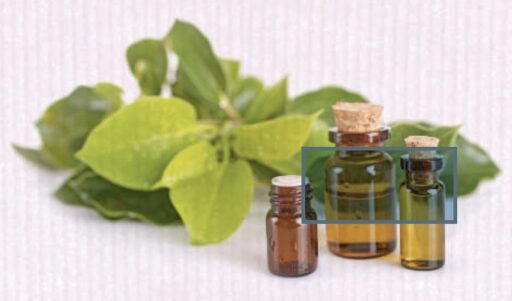 trucs et astuces de santé,trucs et astuces santé,trucs et astuces santé bien-être,trucs et astuces de grand-mère,trucs et astuces santé naturelle