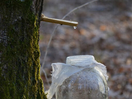trucs et astuces de santé,trucs et astuces santé,trucs et astuces santé bien-être,trucs et astuces de grand-mère,trucs et astuces santé naturelle