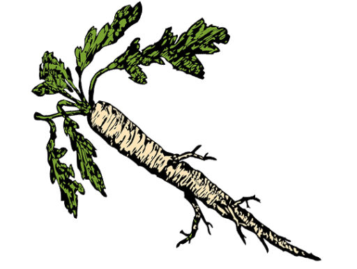 trucs et astuces de santé,trucs et astuces santé,trucs et astuces santé bien-être,trucs et astuces de grand-mère,trucs et astuces santé naturelle