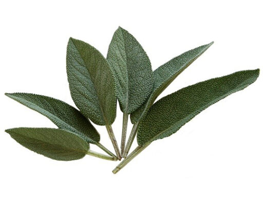 trucs et astuces de santé,trucs et astuces santé,trucs et astuces santé bien-être,trucs et astuces de grand-mère,trucs et astuces santé naturelle