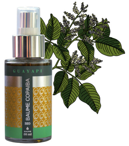 comment faire un jardin bio ?,bio-jardin,comment entretenir un jardin bio ?,au jardin bio,quelle terre pour jardin potager,jardin en biodynamie,jardin bio un moment pour soi,jardin bio produits,jardin bio petit bonheur,potager bio sans pesticide,jardin bio avis,jardin bio calme et sérénité,jardin bio etic,jardin biodiversité