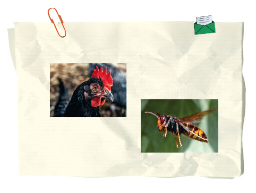 trucs et astuces de santé,trucs et astuces santé,trucs et astuces santé bien-être,trucs et astuces de grand-mère,trucs et astuces santé naturelle