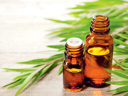 comment faire un jardin bio ?,bio-jardin,comment entretenir un jardin bio ?,au jardin bio,quelle terre pour jardin potager,jardin en biodynamie,jardin bio un moment pour soi,jardin bio produits,jardin bio petit bonheur,potager bio sans pesticide,jardin bio avis,jardin bio calme et sérénité,jardin bio etic,jardin biodiversité