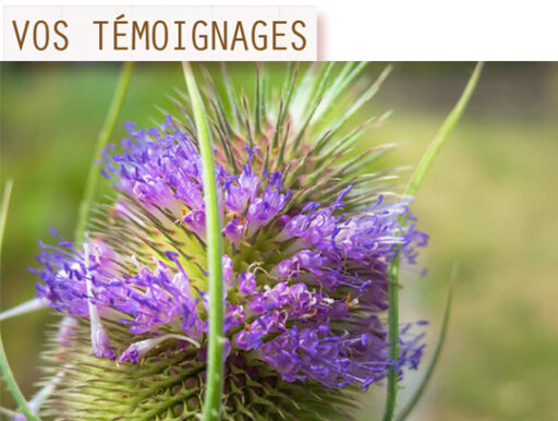 trucs et astuces de santé,trucs et astuces santé,trucs et astuces santé bien-être,trucs et astuces de grand-mère,trucs et astuces santé naturelle