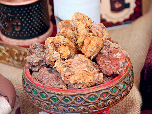 comment faire un jardin bio ?,bio-jardin,comment entretenir un jardin bio ?,au jardin bio,quelle terre pour jardin potager,jardin en biodynamie,jardin bio un moment pour soi,jardin bio produits,jardin bio petit bonheur,potager bio sans pesticide,jardin bio avis,jardin bio calme et sérénité,jardin bio etic,jardin biodiversité