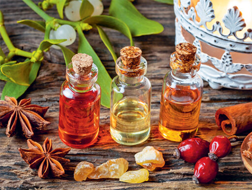 comment faire un jardin bio ?,bio-jardin,comment entretenir un jardin bio ?,au jardin bio,quelle terre pour jardin potager,jardin en biodynamie,jardin bio un moment pour soi,jardin bio produits,jardin bio petit bonheur,potager bio sans pesticide,jardin bio avis,jardin bio calme et sérénité,jardin bio etic,jardin biodiversité