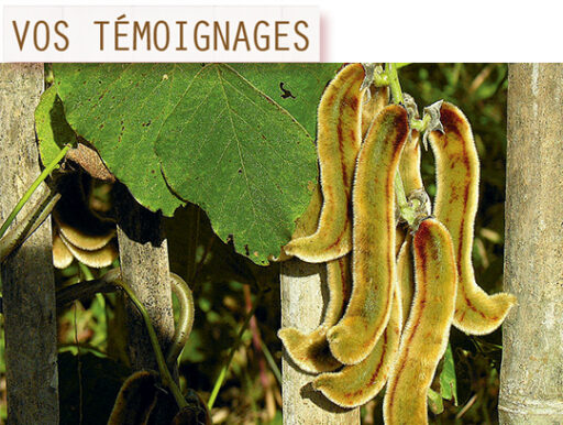 trucs et astuces de santé,trucs et astuces santé,trucs et astuces santé bien-être,trucs et astuces de grand-mère,trucs et astuces santé naturelle