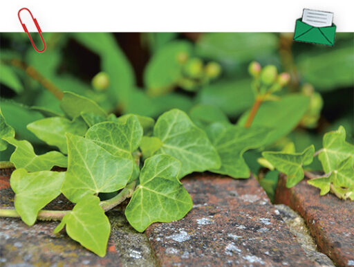 trucs et astuces de santé,trucs et astuces santé,trucs et astuces santé bien-être,trucs et astuces de grand-mère,trucs et astuces santé naturelle