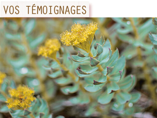 trucs et astuces de santé,trucs et astuces santé,trucs et astuces santé bien-être,trucs et astuces de grand-mère,trucs et astuces santé naturelle