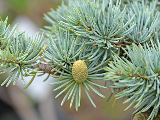 comment faire un jardin bio ?,bio-jardin,comment entretenir un jardin bio ?,au jardin bio,quelle terre pour jardin potager,jardin en biodynamie,jardin bio un moment pour soi,jardin bio produits,jardin bio petit bonheur,potager bio sans pesticide,jardin bio avis,jardin bio calme et sérénité,jardin bio etic,jardin biodiversité