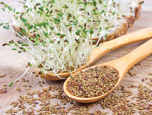 trucs et astuces de santé,trucs et astuces santé,trucs et astuces santé bien-être,trucs et astuces de grand-mère,trucs et astuces santé naturelle