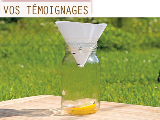 trucs et astuces de santé,trucs et astuces santé,trucs et astuces santé bien-être,trucs et astuces de grand-mère,trucs et astuces santé naturelle