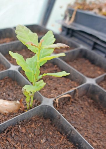 comment faire un jardin bio ?,bio-jardin,comment entretenir un jardin bio ?,au jardin bio,quelle terre pour jardin potager,jardin en biodynamie,jardin bio un moment pour soi,jardin bio produits,jardin bio petit bonheur,potager bio sans pesticide,jardin bio avis,jardin bio calme et sérénité,jardin bio etic,jardin biodiversité