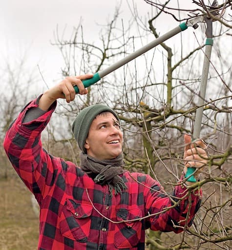 comment faire un jardin bio ?,bio-jardin,comment entretenir un jardin bio ?,au jardin bio,quelle terre pour jardin potager,jardin en biodynamie,jardin bio un moment pour soi,jardin bio produits,jardin bio petit bonheur,potager bio sans pesticide,jardin bio avis,jardin bio calme et sérénité,jardin bio etic,jardin biodiversité