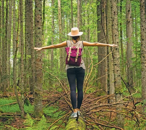 sport et foret