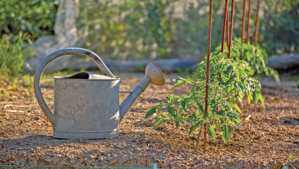 Balai, arrosoir et jeunes plants dans un jardin en plein air.